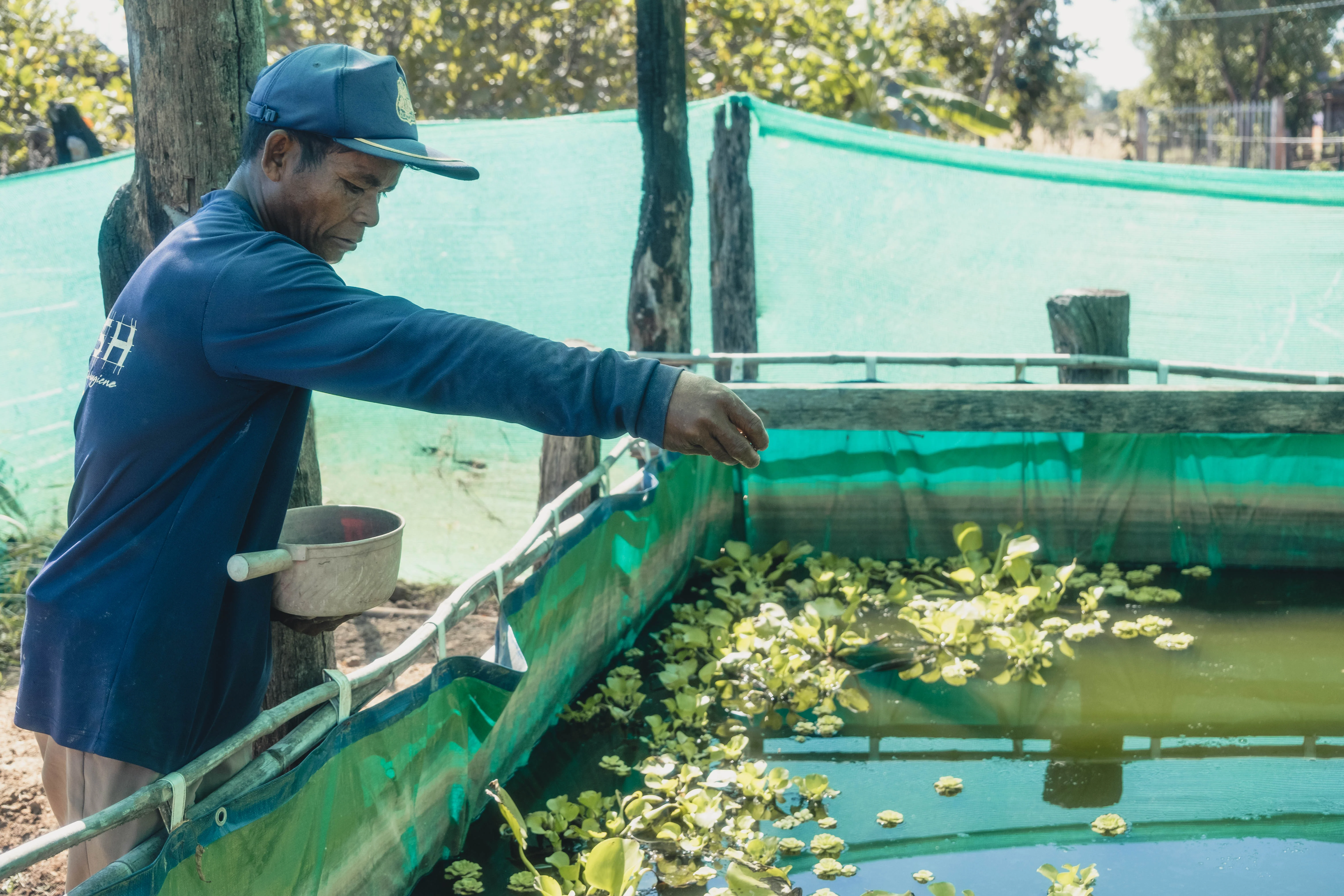 Pratiques d’agriculture durable